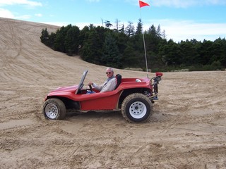 manx getting ready to climb hill